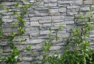 Surrey Hillsgreen-walls-4.jpg; ?>